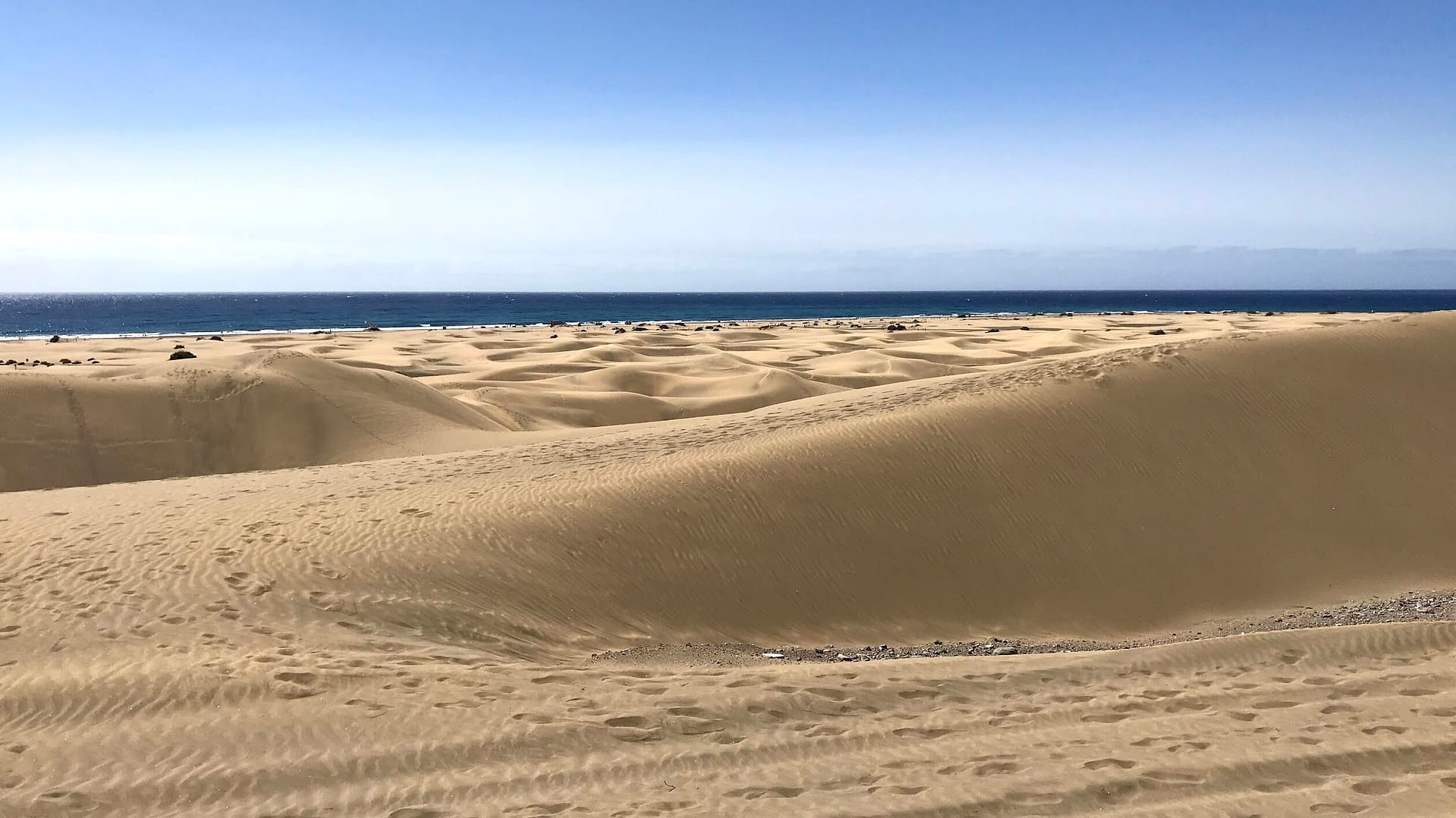 Maspalomas beach