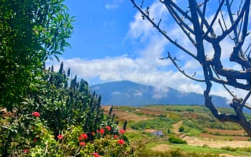 Monte Pavón