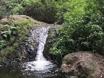 barranco-azuaje Barranco Azuaje